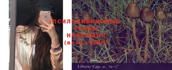 мескалин Верхний Тагил