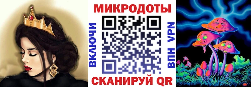 закладка  Кедровый  Псилоцибиновые грибы Cubensis 